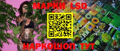 гидра Кизилюрт