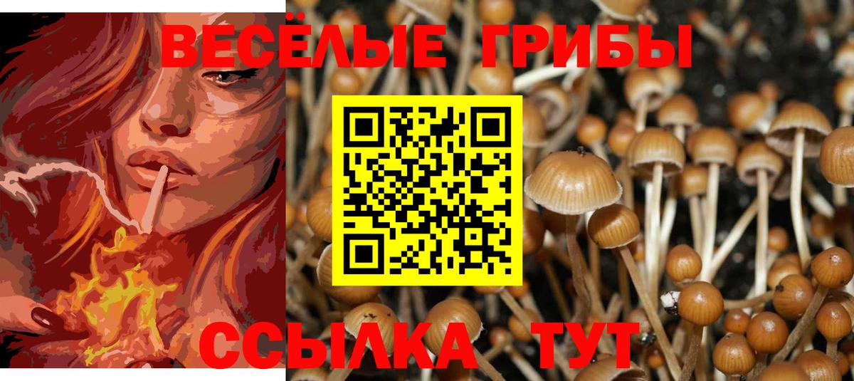 Шатура  Псилоцибиновые грибы мухоморы  Вход с VPN 